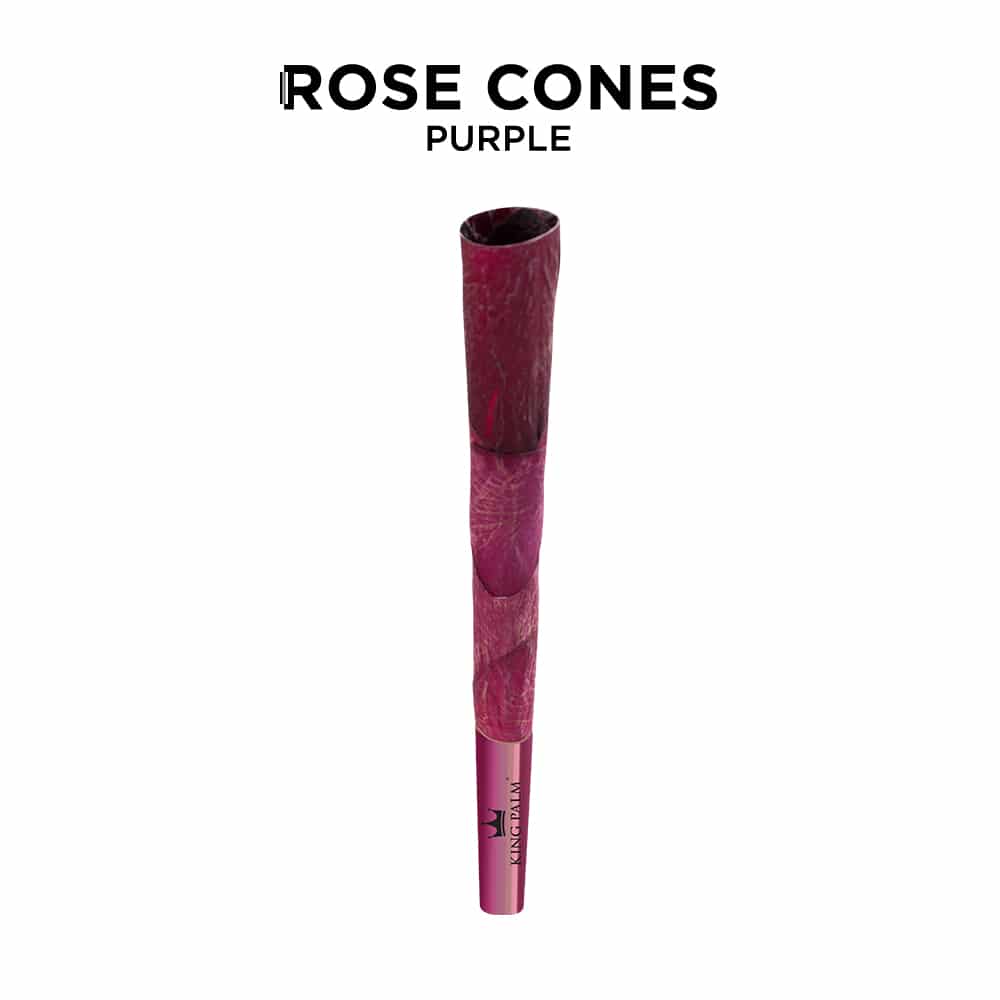 King Palm Purple Rose Cones King Size