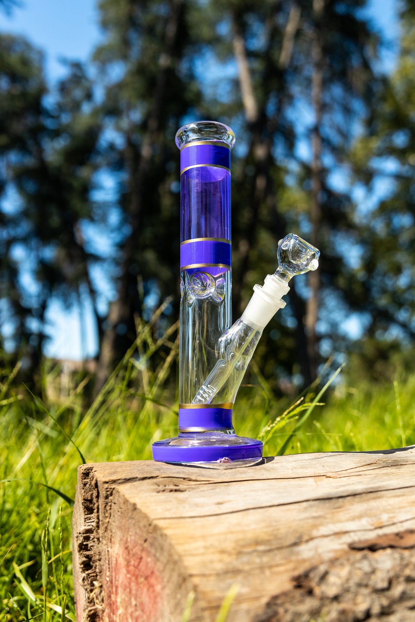 10" Purple & Gold Shooter w/ Ice Catcher