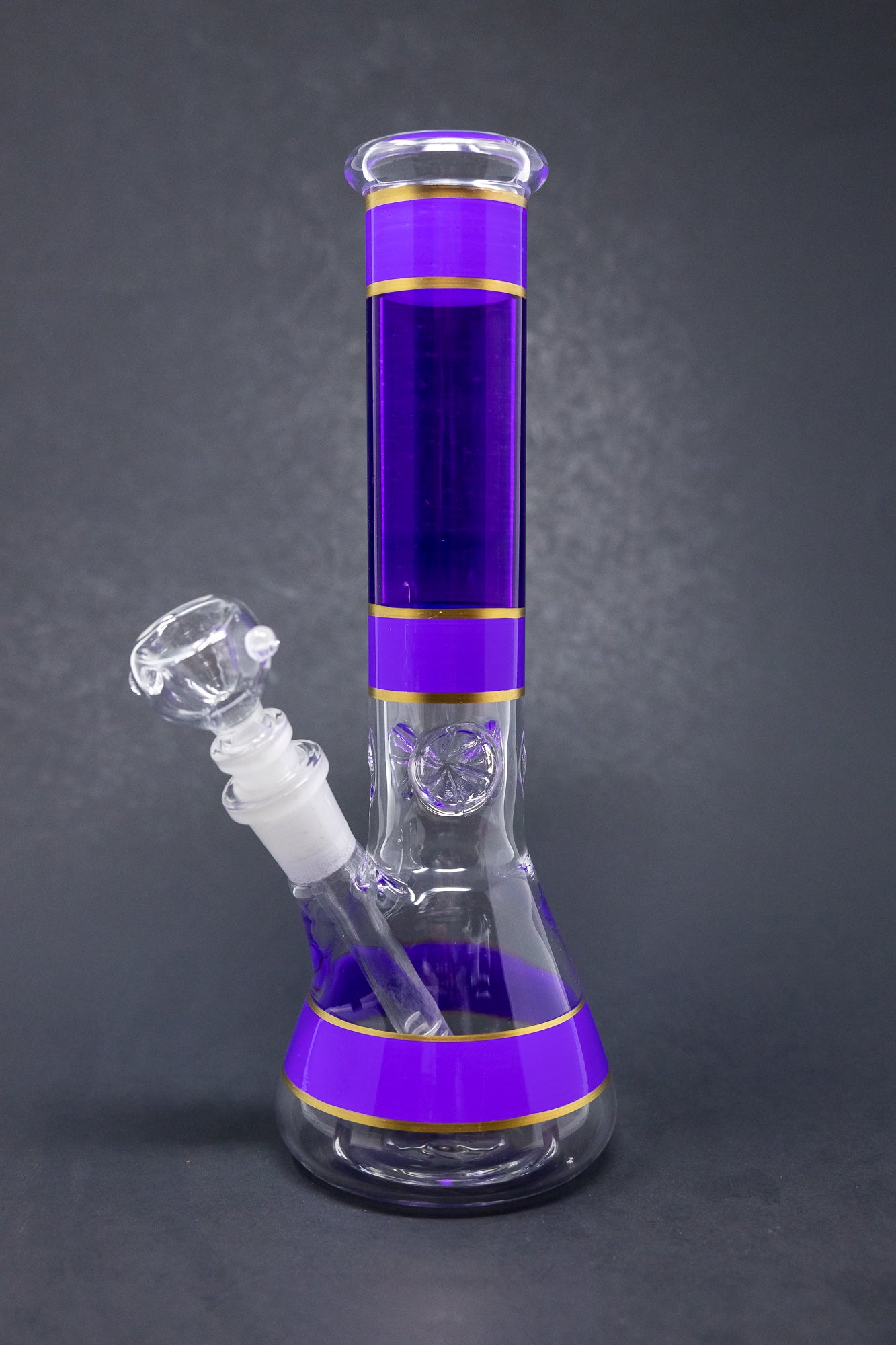 10" Purple w/ Gold Trimming Beaker w/ Ice catcher