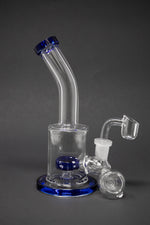 7" Shower Bend Tortoise Perk Dab Rig