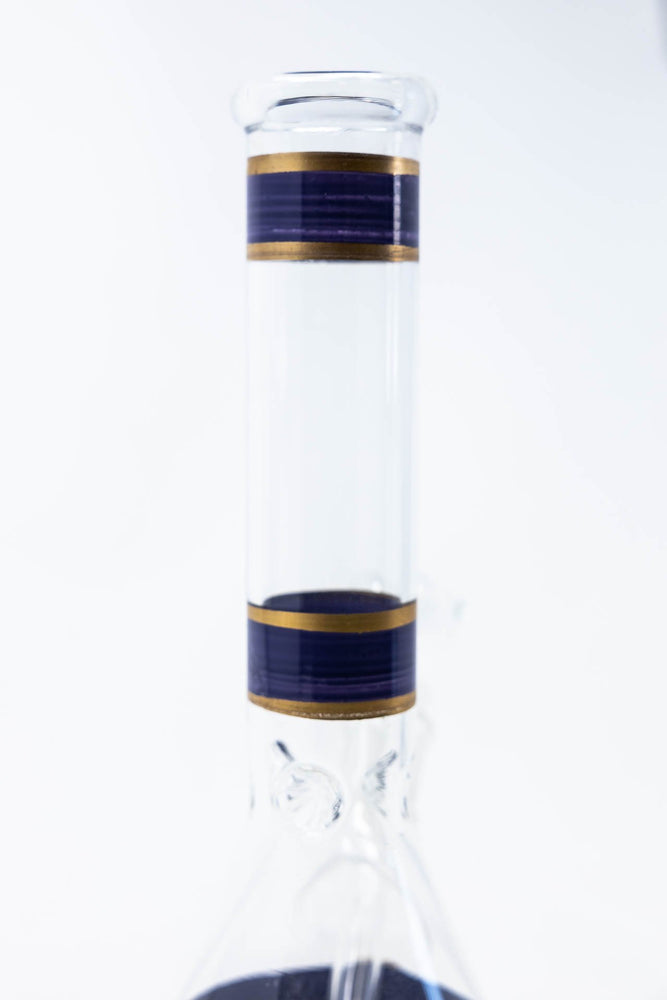 10" Dark Purple Beaker Bong w/ Ice Catcher